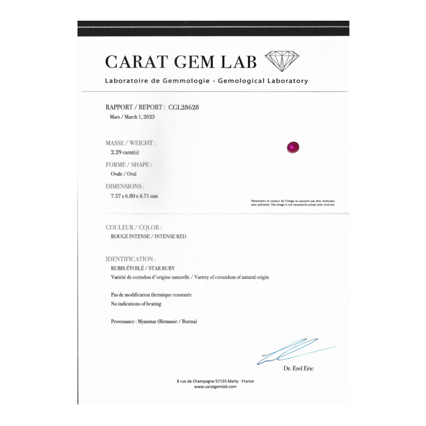 Vintage Flower Brooch, Attributed to Cartier