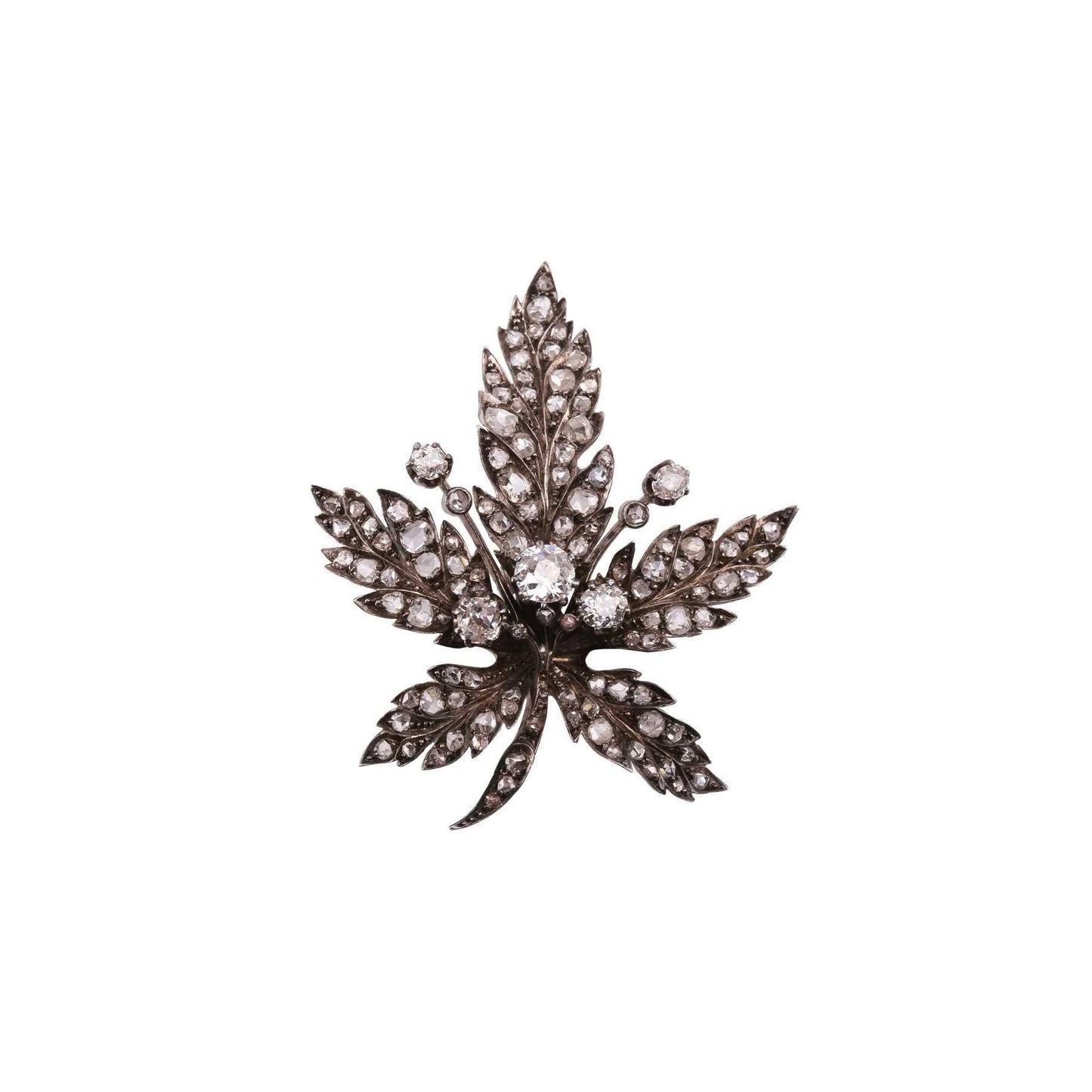 Antique Leaf Brooch