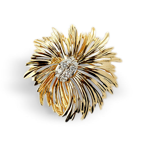 Dankner Folite Brooch