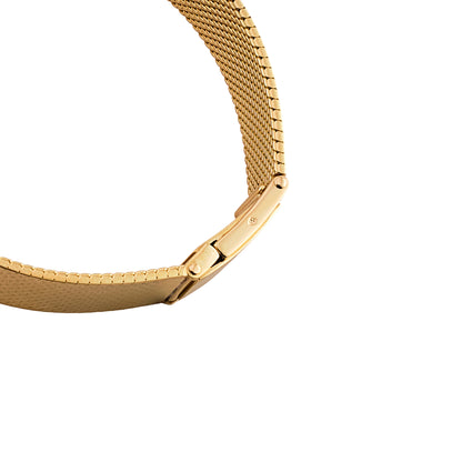 Delaneau for Harry Winston Watch