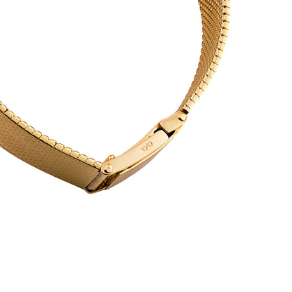 Delaneau for Harry Winston Watch