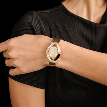 Delaneau for Harry Winston Watch