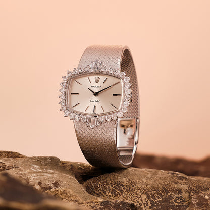 Rolex Orchid Ladies Watch