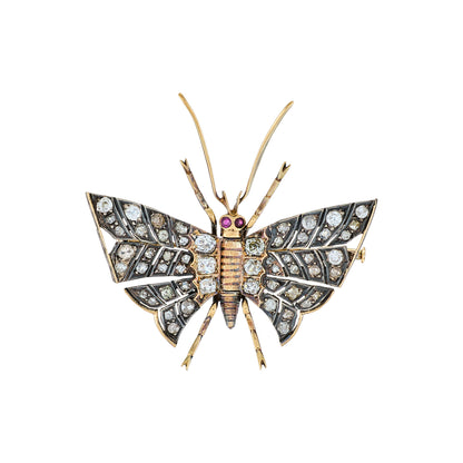 Antique Butterfly Brooch