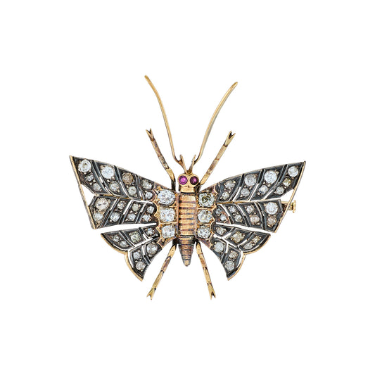 Antique Butterfly Brooch